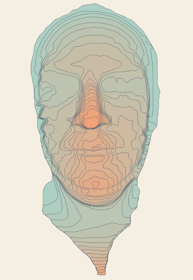 Topographic Elevation Relief — High-Resolution Face Layer Contours