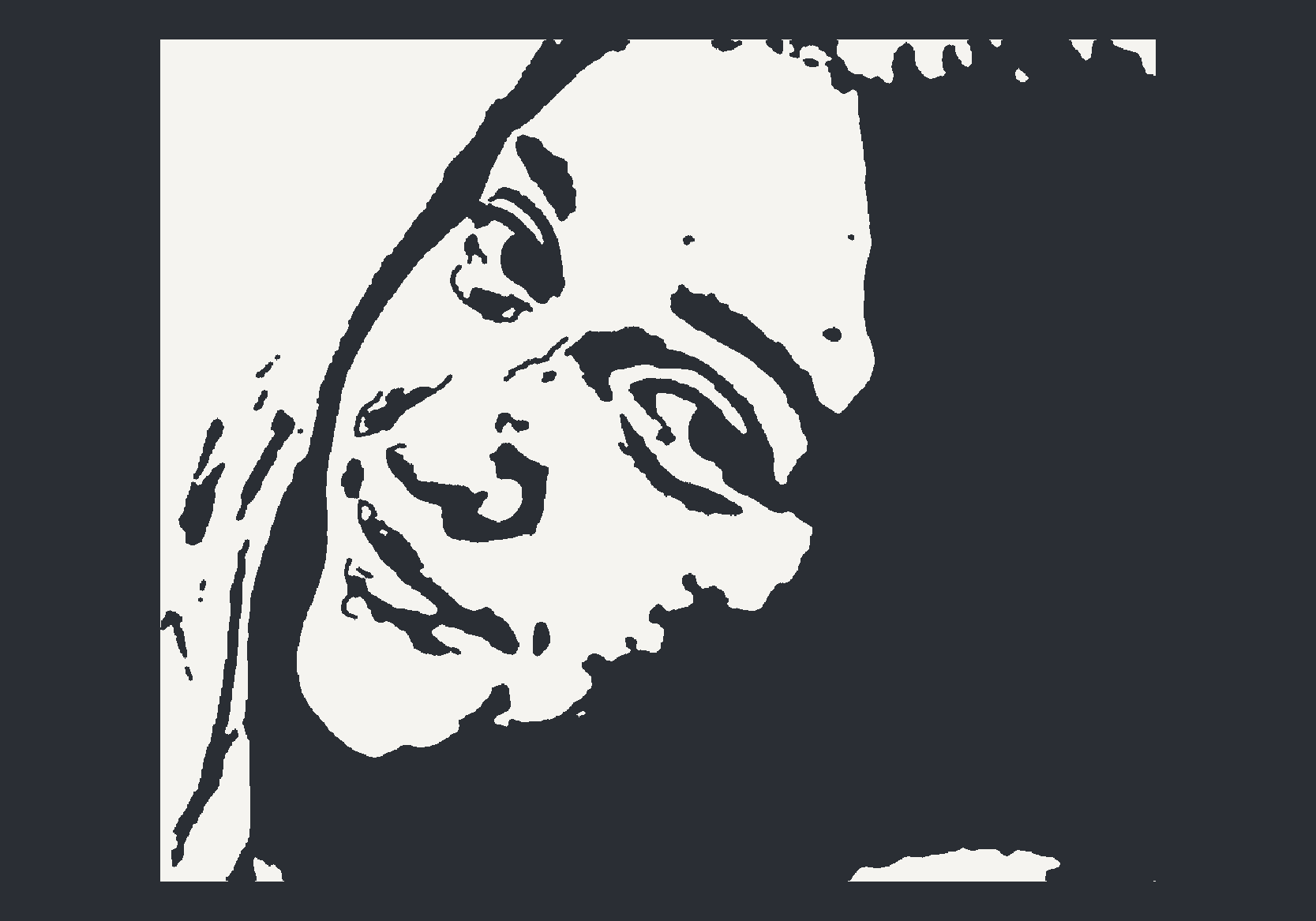 Panou finalizat în stilul Graphic portrait