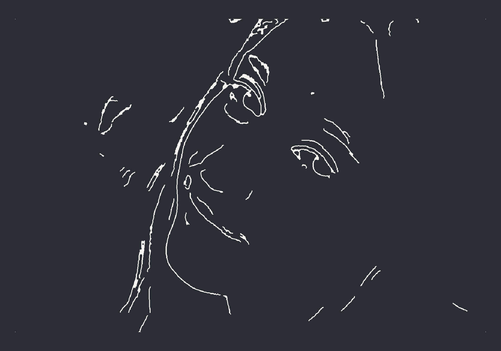 Panou finalizat în stilul Negative-space linework